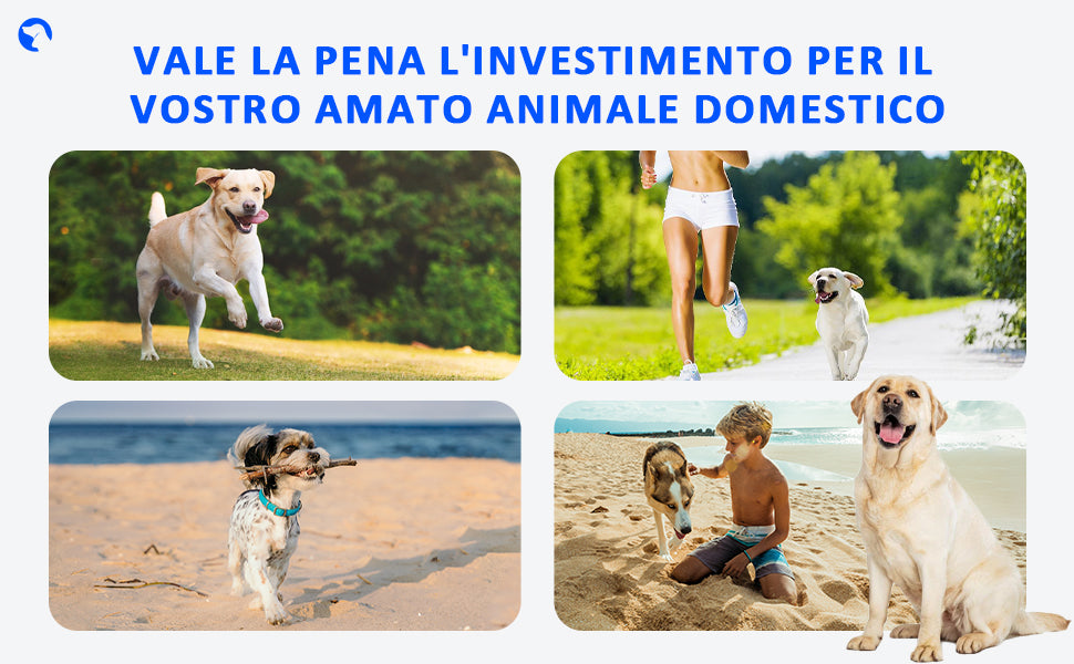 Red Light Therapy Belt for Animals Joint Pain Skin Disease 660nm 850nm 128 Diodes Cold Laser Therapy Device for Pets Pain Relief