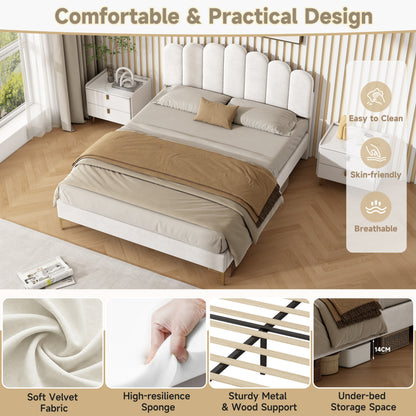 Beige HOMCOM double velvet upholstered bed frame with scalloped channel tufted headboard, gold metal feet, and under-bed storage space.