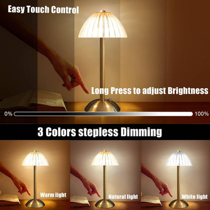 Modern HOMCOM LED cordless table lamp with dimmable night light, USB rechargeable, featuring sleek design and ambient lighting.