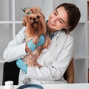 Red Light Therapy Belt for Animals Joint Pain Skin Disease 660nm 850nm 128 Diodes Cold Laser Therapy Device for Pets Pain Relief