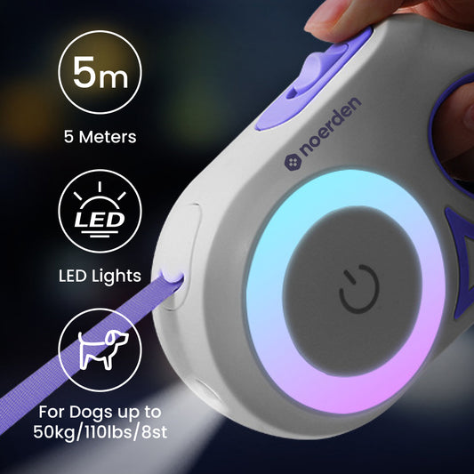 Noerden Flexi Leash LED retractable dog leash with adjustable length and built-in LED light for visibility during walks.