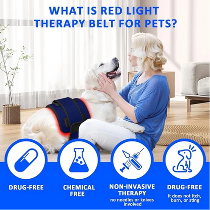 Red Light Therapy Belt for Animals Joint Pain Skin Disease 660nm 850nm 128 Diodes Cold Laser Therapy Device for Pets Pain Relief