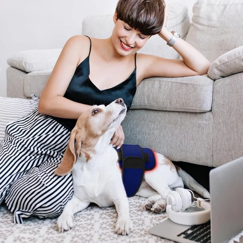 Red Light Therapy Belt for Animals Joint Pain Skin Disease 660nm 850nm 128 Diodes Cold Laser Therapy Device for Pets Pain Relief
