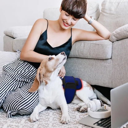 Red Light Therapy Belt for Animals Joint Pain Skin Disease 660nm 850nm 128 Diodes Cold Laser Therapy Device for Pets Pain Relief