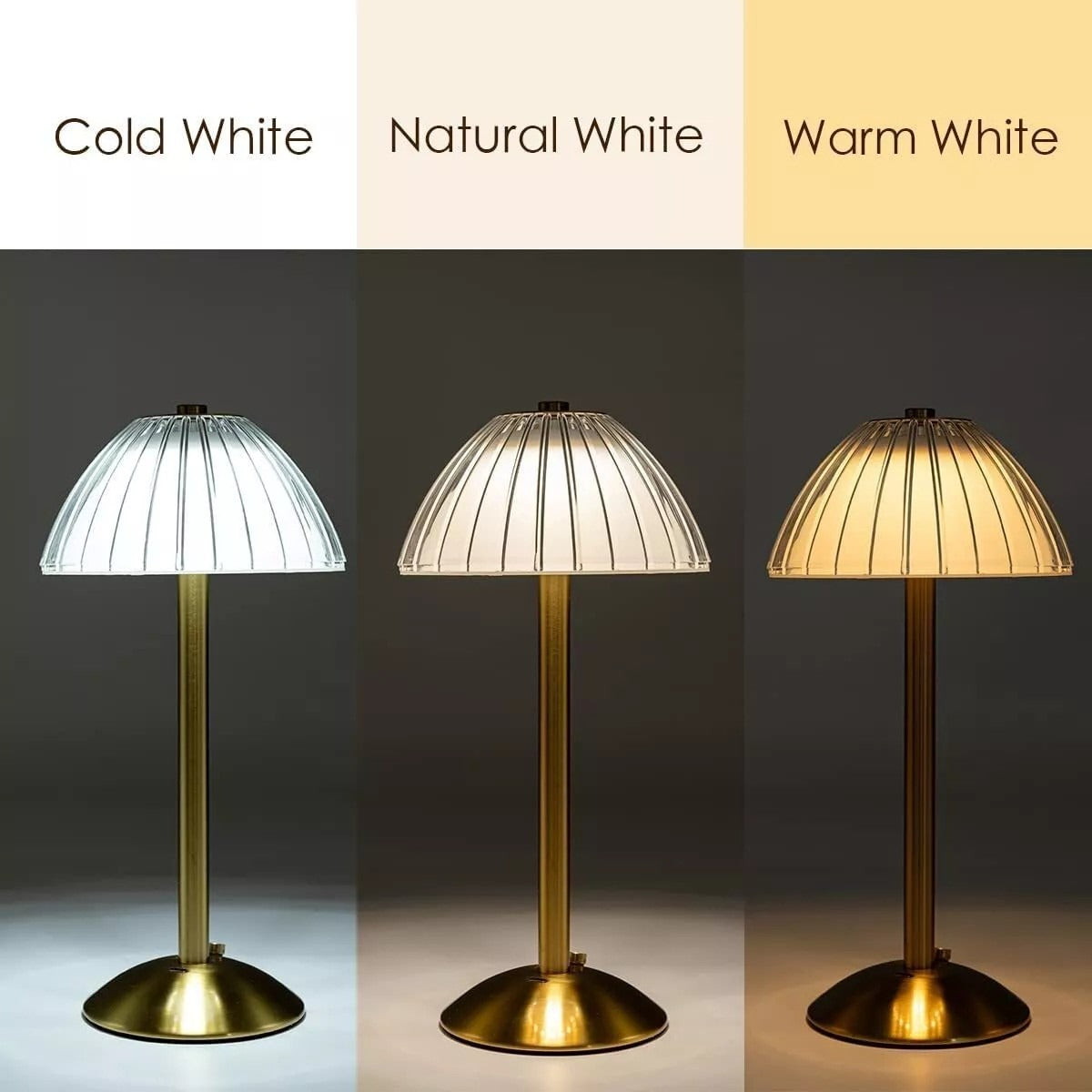Modern HOMCOM LED cordless table lamp with dimmable night light feature, rechargeable USB, perfect for home decor and bedside lighting.