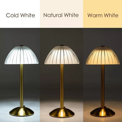 Modern HOMCOM LED cordless table lamp with dimmable night light feature, rechargeable USB, perfect for home decor and bedside lighting.