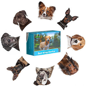 Red Light Therapy Belt for Animals Joint Pain Skin Disease 660nm 850nm 128 Diodes Cold Laser Therapy Device for Pets Pain Relief